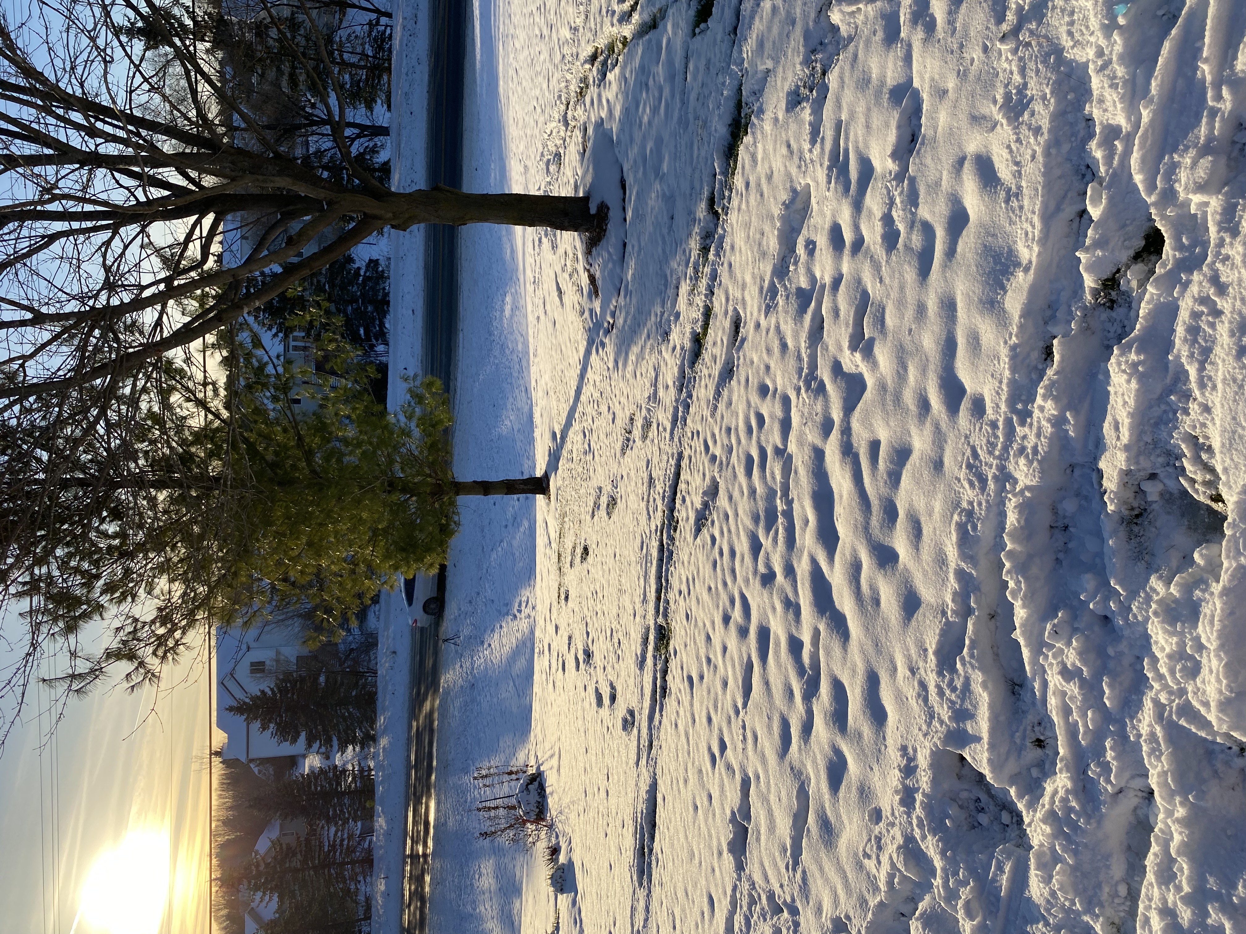 Depression Blog Banner